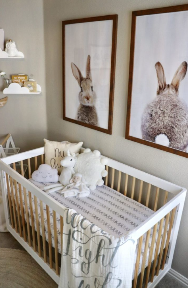 Karakter Hewan Kecil